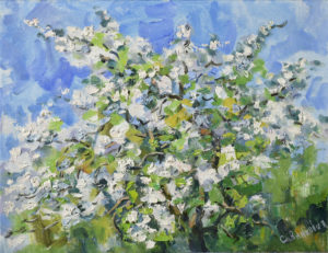 Картина Цветущая яблоня весна белые цветы живопись для интерьера